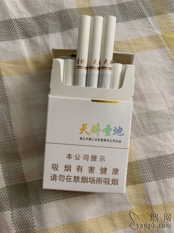 黄鹤楼(硬天骄圣地)的综合点评列表.烟网