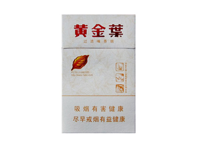 黄金叶天香小天叶图片