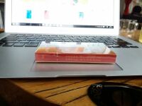 南京(金陵十二钗烤烟)