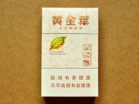 黄金叶(天香小天叶)