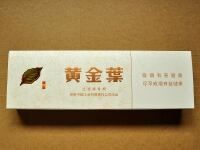 黄金叶(天香小天叶)