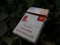 黄金叶(小黄金)