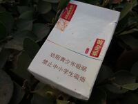 黄金叶(小黄金)