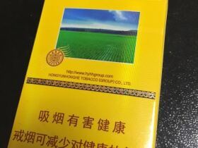 云烟(塞上好江南)