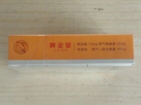 黄金叶(金丝路 商都)