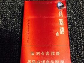 黄鹤楼(硬论道长)