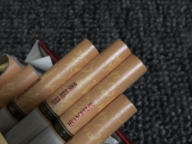 黄鹤楼(硬论道长)