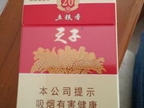 天子(五粮香20年)