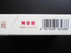 黄金叶(小黄金)