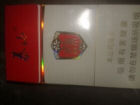 泰山(将军中支)