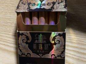 黄鹤楼(硬漫天游)