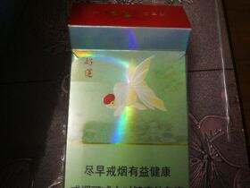 娇子(宽窄好运)