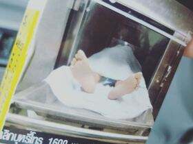 好彩(薄荷中免)