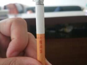 好猫(招财进宝1600)