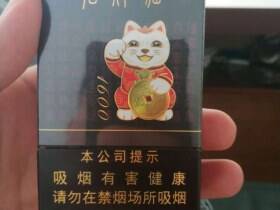 好猫(招财进宝1600)