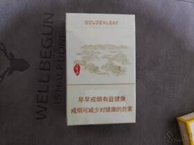 黄金叶(太行山)