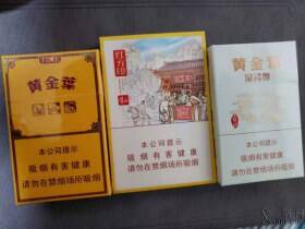 黄金叶(太行山)