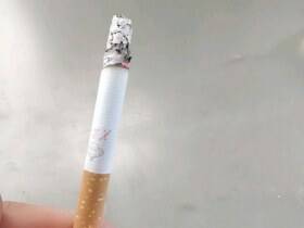 芙蓉王(印尼专供)