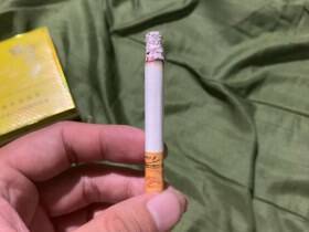 天子(硬黄宽版)