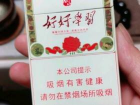 泰山(好好学习)