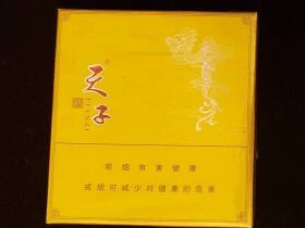 天子(硬黄宽版)