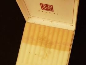 天子(硬黄宽版)