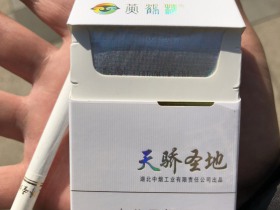 黄鹤楼(硬天骄圣地)