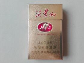 泰山(新沂蒙山)