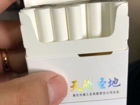 黄鹤楼(硬天骄圣地)