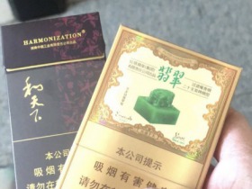 玉溪(翡翠双中支)