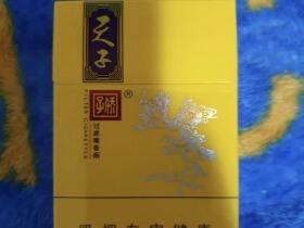 娇子(锦绣小天子)