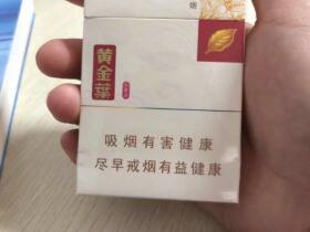 黄金叶(小黄金)