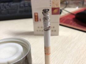 黄金叶(小黄金)