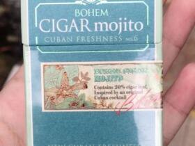 宝亨(莫吉托6号)