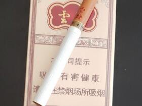 云烟(软印象烟庄)