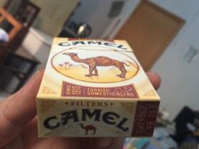 骆驼(硬黄美版)