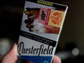 契斯特菲尔德(蓝 马来西亚版)