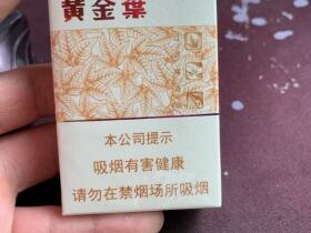 黄金叶(软黄金)