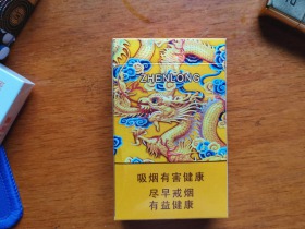 真龍龍天下