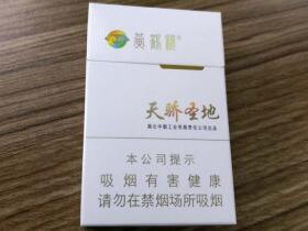 黄鹤楼(硬天骄圣地)