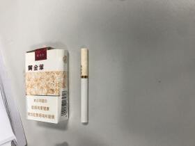 黄金叶(软黄金)