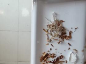 金圣(China瓷细支)