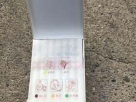 云烟(百味人生)