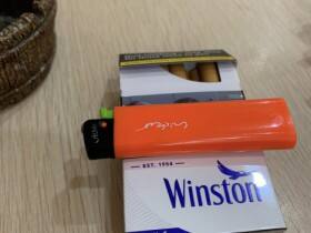 云斯顿(硬蓝欧盟免税版)