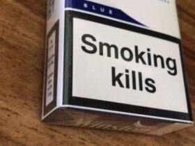 云斯顿(硬蓝欧盟免税版)