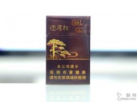 黄山松(回味迎客松)