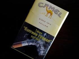 骆驼(硬黄蒙古加税)