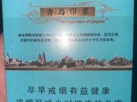 泰山(青岛印象)