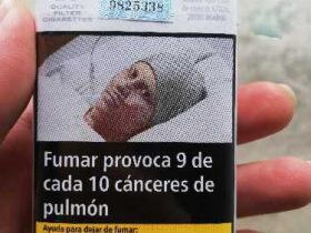 Fortuna(Red Line西班牙完税版)