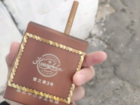 黄鹤楼(雪之景3号)